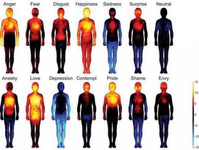  احساسات مختلف در کدام مناطق بدن تاثیرگذار