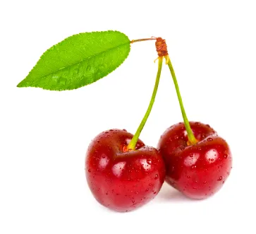 گیلاس