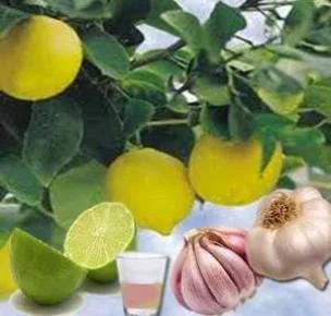 چربی را به سوزانید