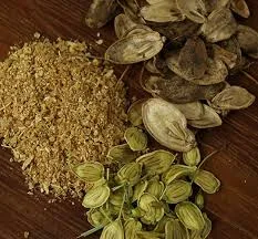 خوردن این گیاه باعث سقط جنین می شود