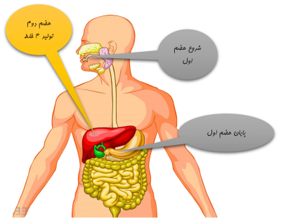  تعریف هضم در طب سنتی ایرانی