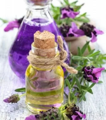با روغن بنفشه به تمام بیماری پوستی,بواسیر,میگرن,اگزما و افسردگی پایان دهید