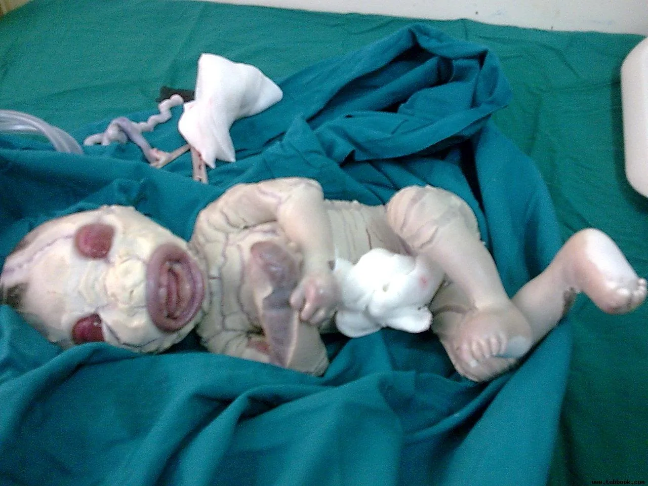 تصویر کاور dr.vahid