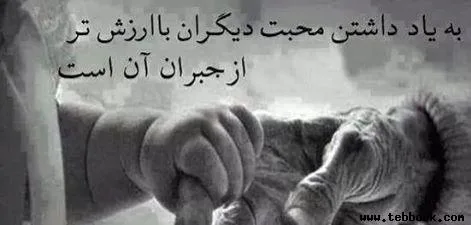 تصویر کاور امیرعلی
