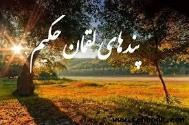 تصویر کاور دکتر جمشيد دونلو
