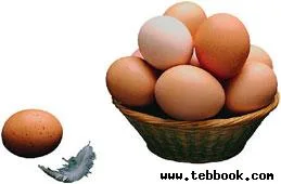 تصویر کاور هادی ناصری