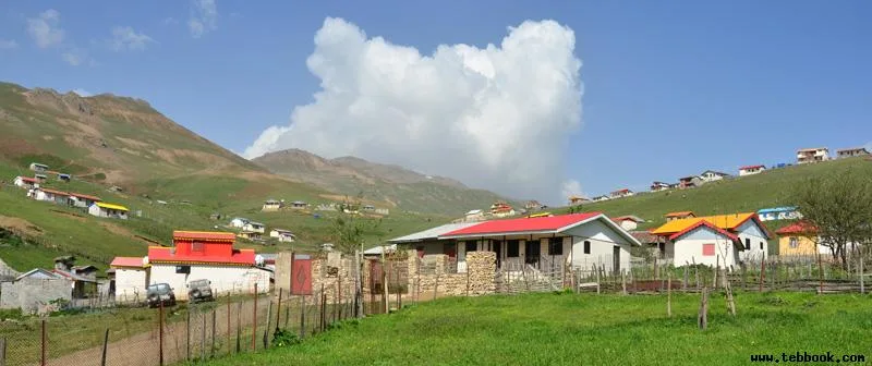 تصویر کاور دکترمحمدرضا معماریان پور