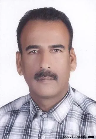 تصویر کاور امیر