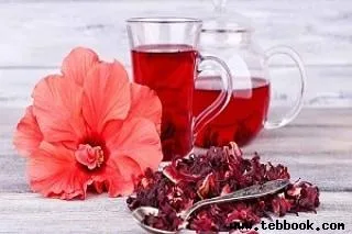تصویر کاور مشاور تغذیه و رژیم درمانی مریم کلاهدوز