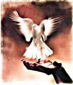 حسین عابدی