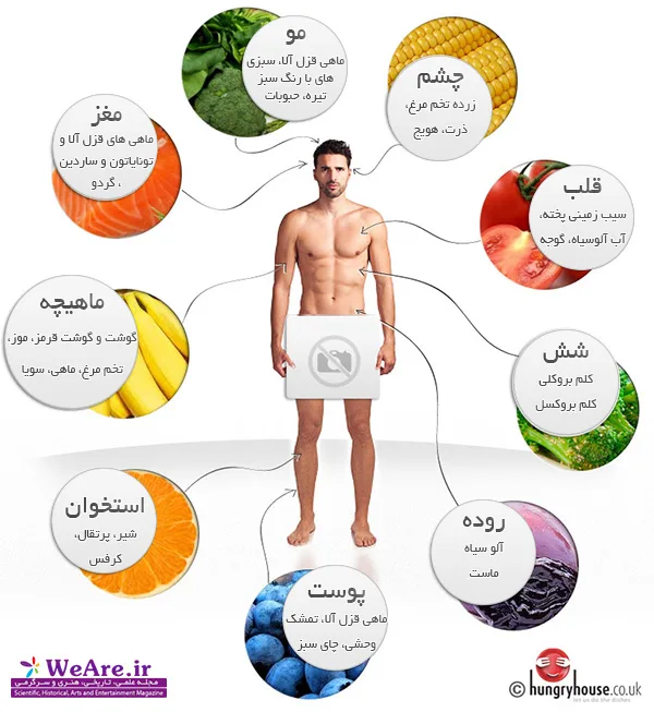 رژیم غذایی و تناسب اندام