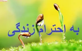 چگونه زندگی کنیم؟