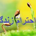 چگونه زندگی کنیم؟