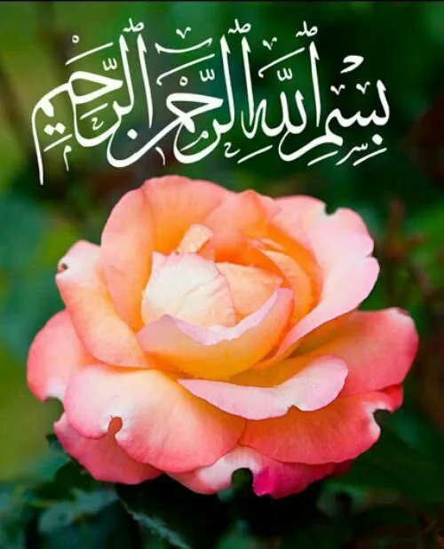 شهروز